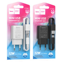 Зарядное устройство HOCO C134A + micro 12W